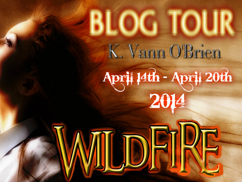 WILDFIRE TOUR BANNER